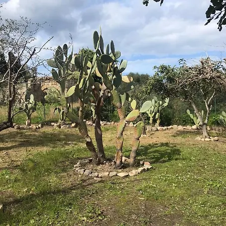 A Casa Di Peppino Greco *