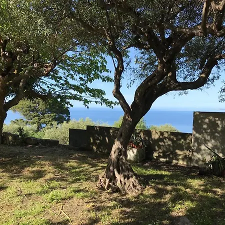 A Casa Di Peppino Greco *