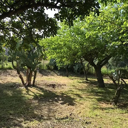 A Casa Di Peppino Greco *